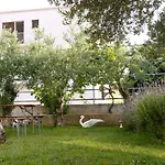 Pepi Apartments 3