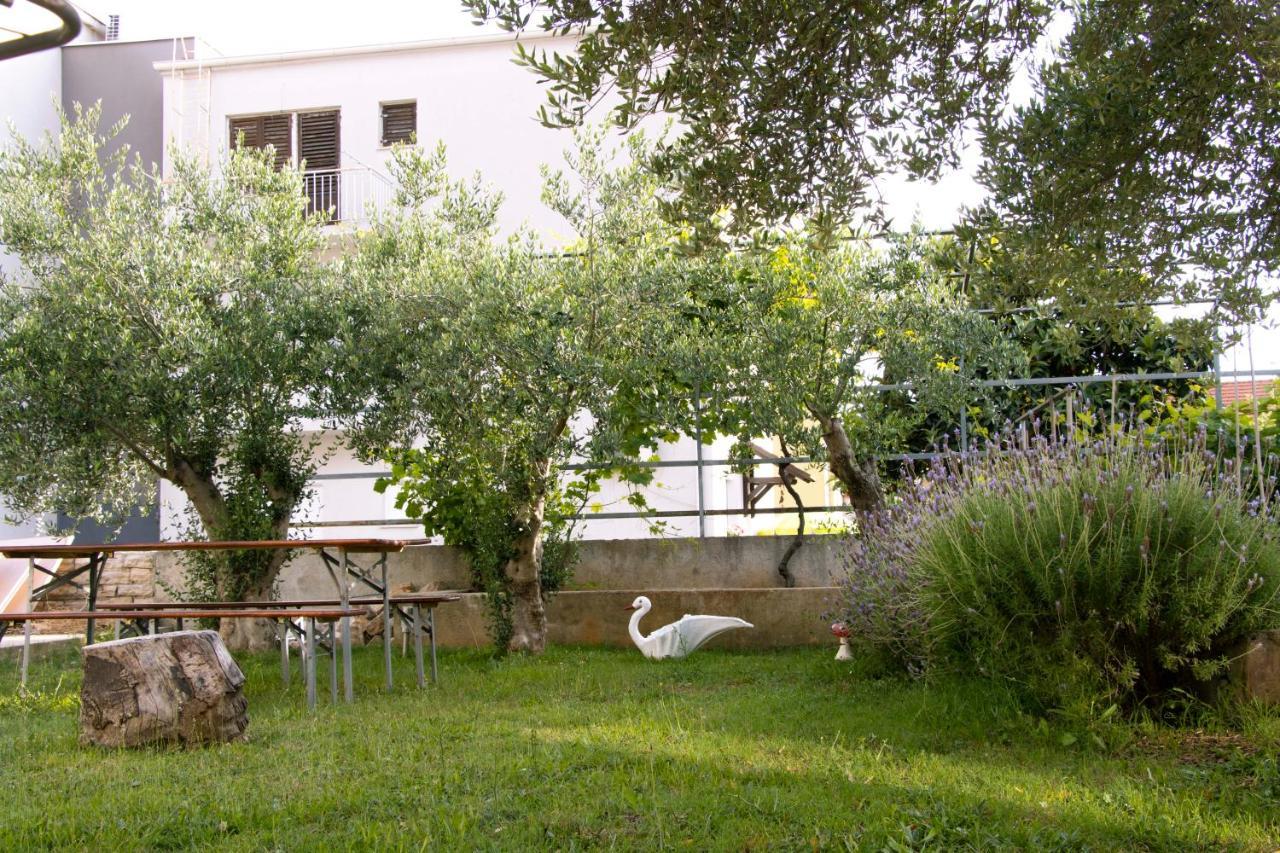Pepi 3 Apartment
